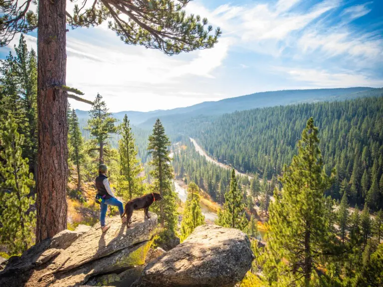 66b3d7427d2d119fceec855b 66859511116adcac1bc6a0f2 3