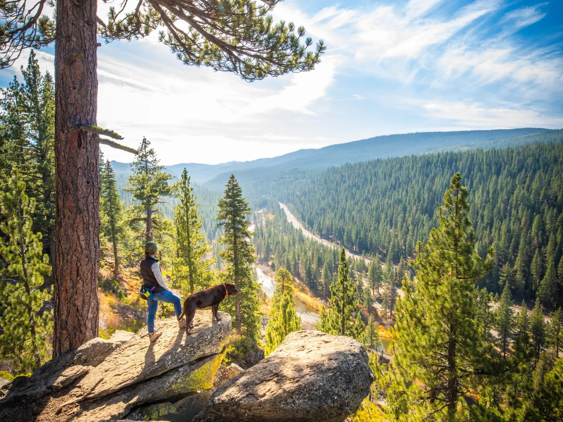 66b3d7427d2d119fceec855b 66859511116adcac1bc6a0f2 3