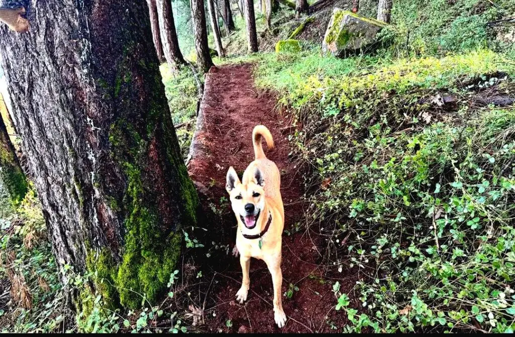 2c7f2aa1 1e45 42ab ad46 b3280181b621.jpg