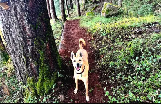 2c7f2aa1 1e45 42ab ad46 b3280181b621.jpg