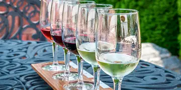 Rollins Lakeside Inn Resort - Local Wineries