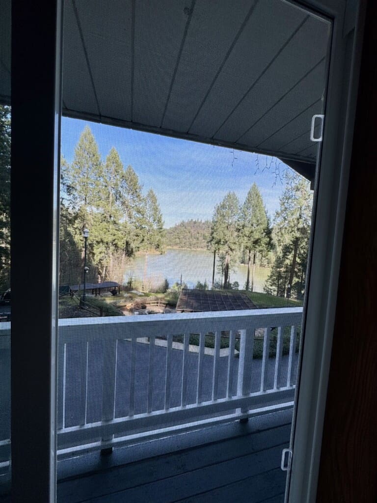 IMG 0856