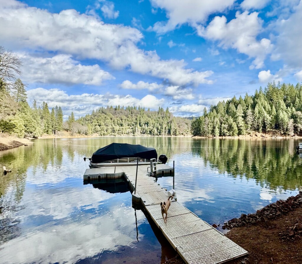 9A7E2876 FBE4 4A00 856B 7F827CEA8934 1 201 a