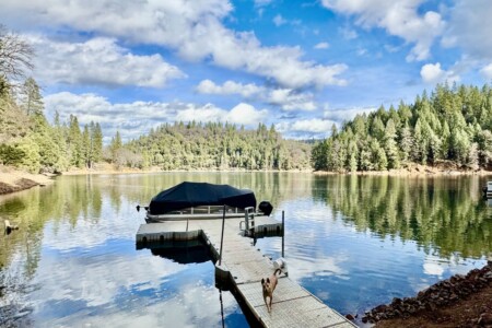 9A7E2876 FBE4 4A00 856B 7F827CEA8934 1 201 a